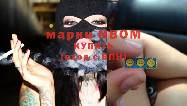 индика Белокуриха