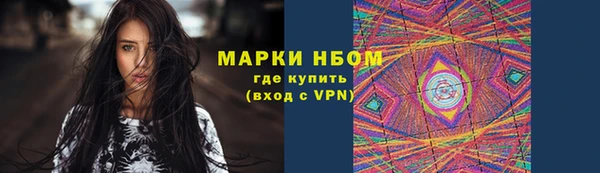 индика Белокуриха