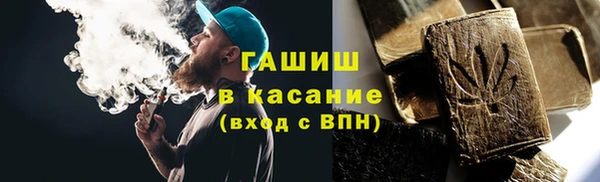 индика Белокуриха