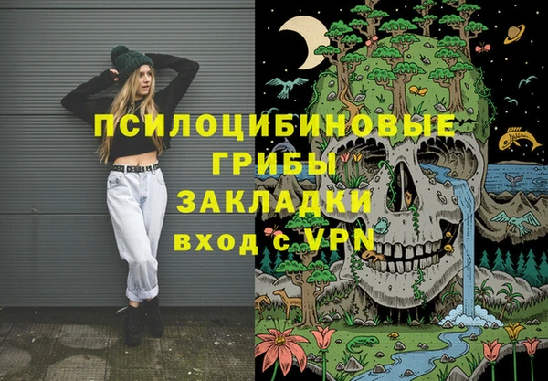 индика Белокуриха
