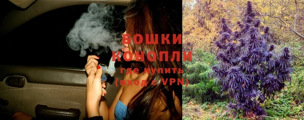 индика Белокуриха