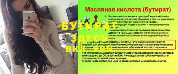 индика Белокуриха